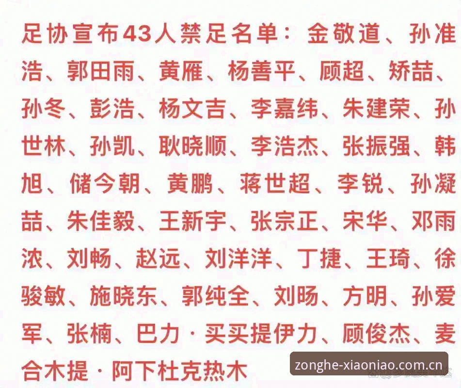 中国足协第三批禁足名单全面解析：17人终身禁赛背后的行业乱象与治理升级