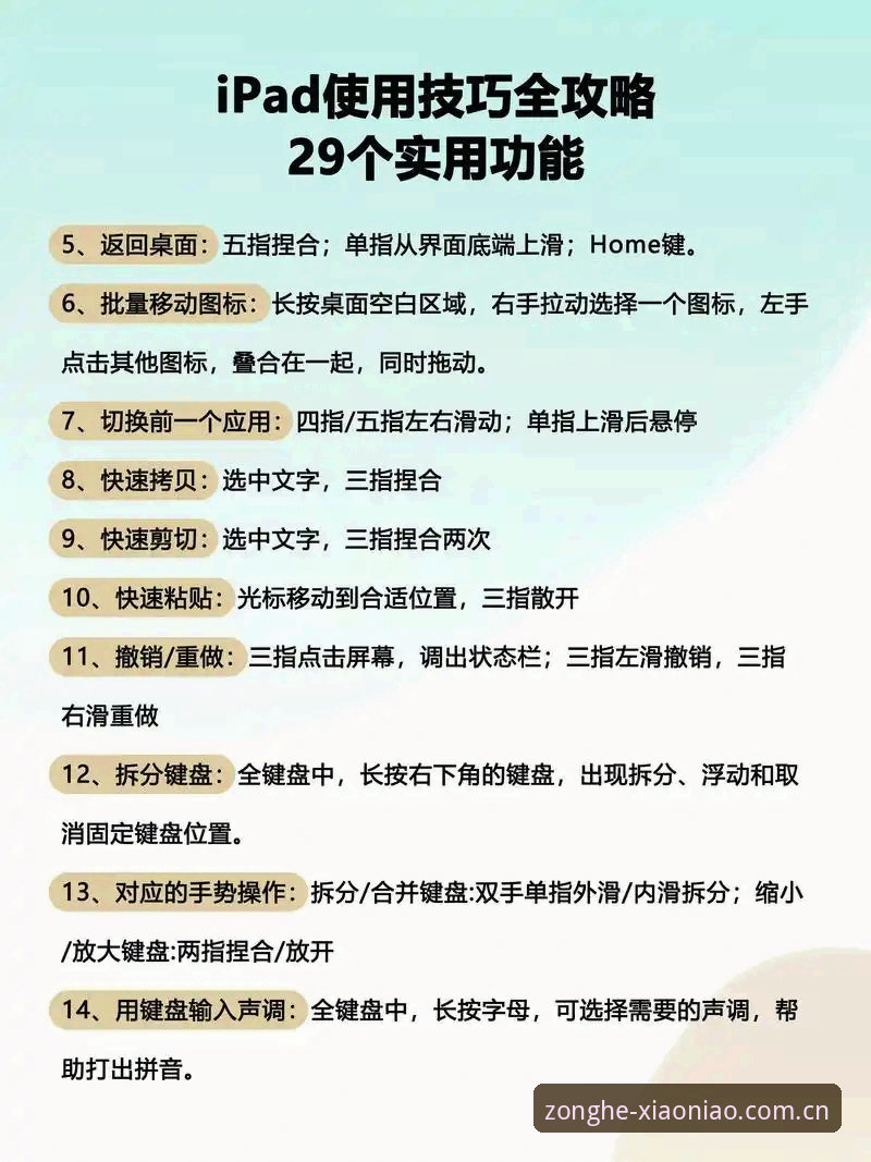 小鸟体育平台使用指南：从新手到高手的完整教程